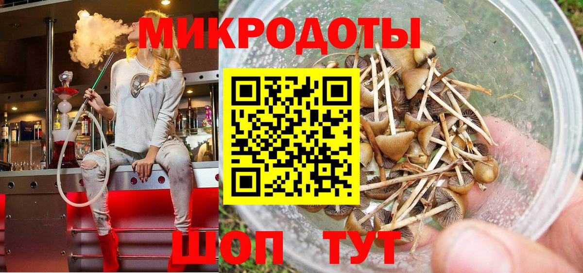 Псилоцибиновые грибы мицелий  Вход с VPN  Мичуринск  Псилоцибиновые грибы Psilocybine cubensis 