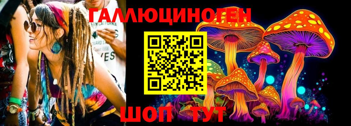 Галлюциногенные грибы Psilocybe Мичуринск